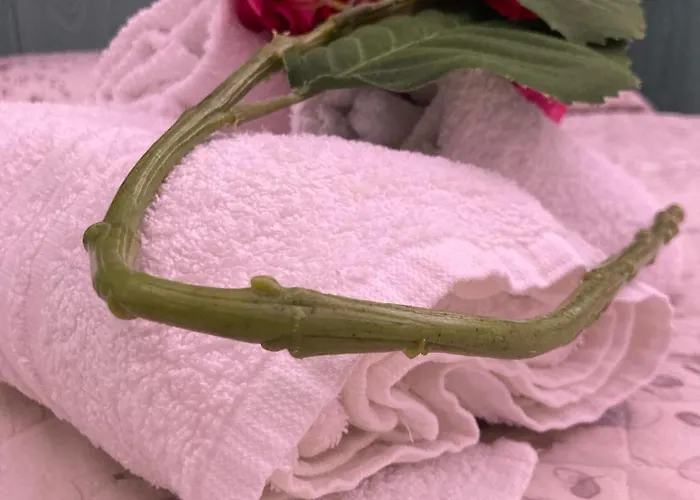 B&B Jasmin 산비토로카포